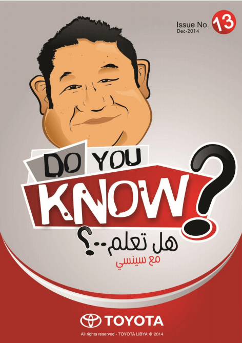 dyk 13