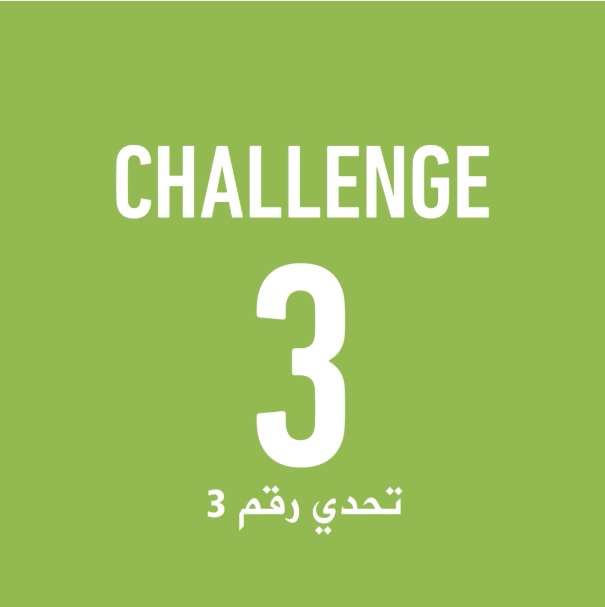 Challenge 3